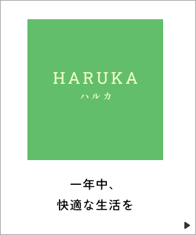 ハルカ