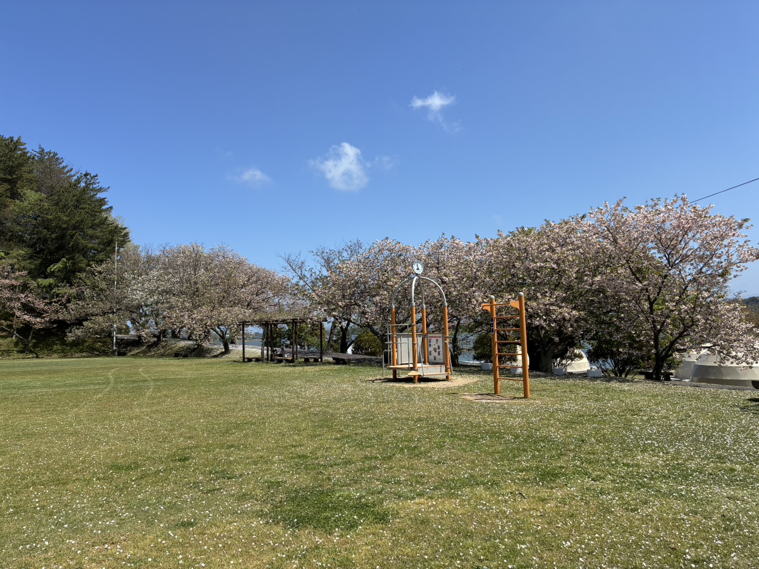 値下げ通知のFAXが来ないので花見に行ってきた アイチャッチ